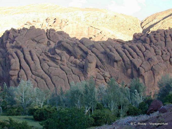 Dita scimmia, Gole del Dades - Marocco