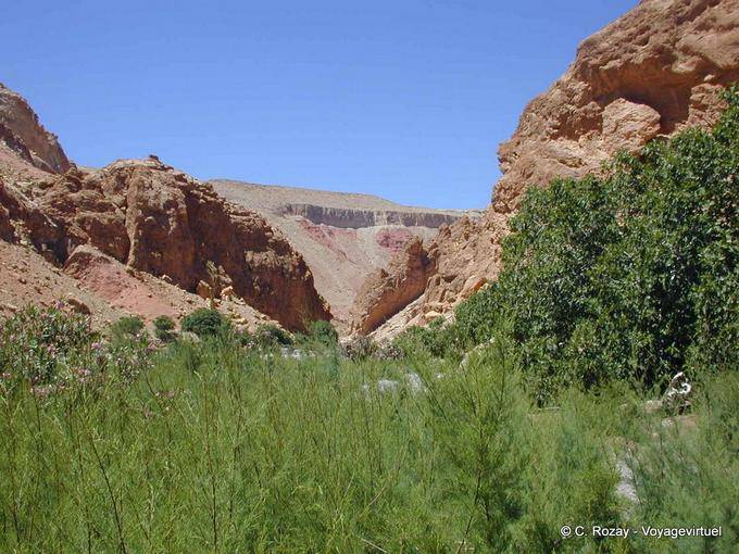 Verde e l'aridità della Valle delle Rose - Marocco