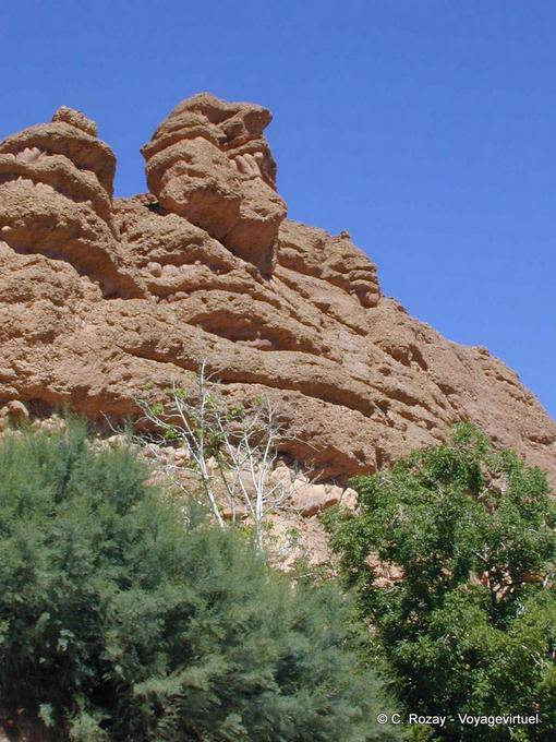 Agoulzi, la roccia dell'uomo fino ai denti, Valle delle Rose - Marocco