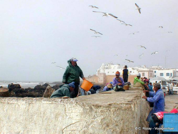 Essaouira, marinai lavorando sulla porta - Marocco