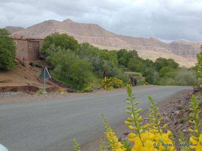 Paesaggio verde tra Marrakech e Ouarzazate - Marocco