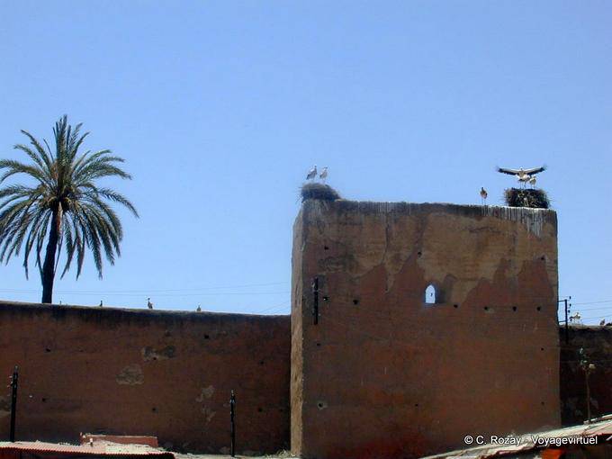 Cicogne annidati sui bastioni, Marrakech - Marocco