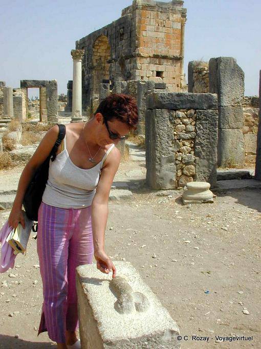 Fallo di pietra, Sexus grattus Rigolus, Volubilis - Marocco