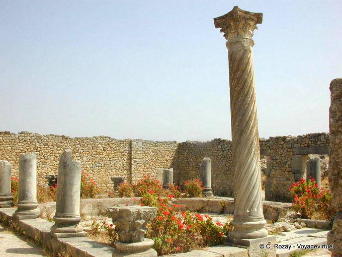 Colonne Volubilis, Casa - Marocco