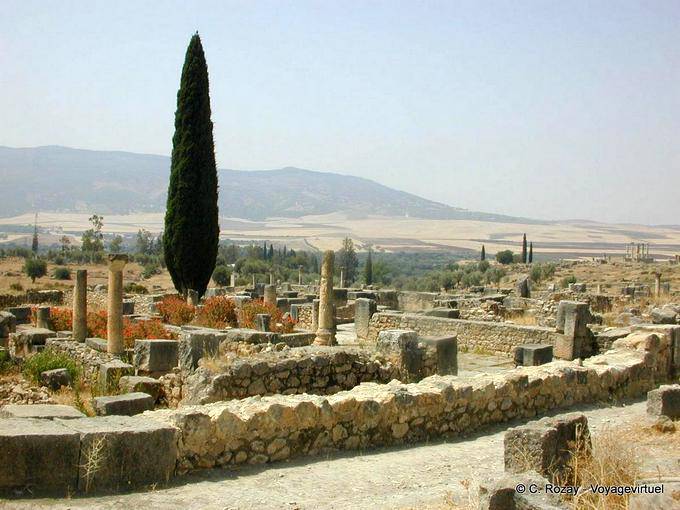 Paesaggio, Volubilis - Marocco
