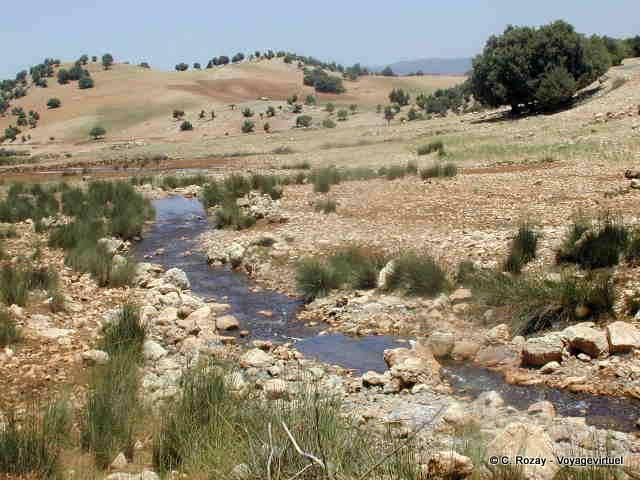 Sull'altopiano di Ajdir e Tiguelmamines, Khenifra - Marocco
