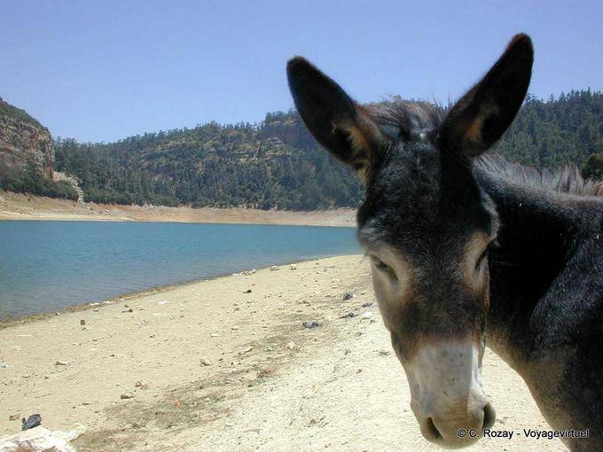 Ass lago verde Aguelmame Azegza, Khenifra - Marocco