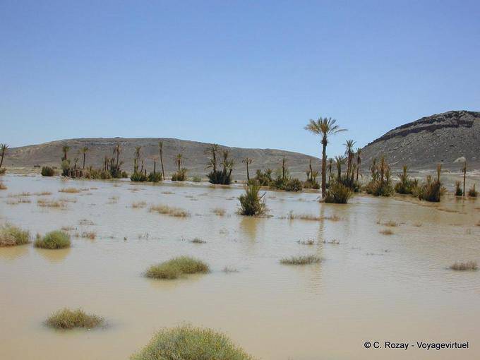 Lago formato dal miracolo della pioggia nel deserto di Merzouga - Marocco
