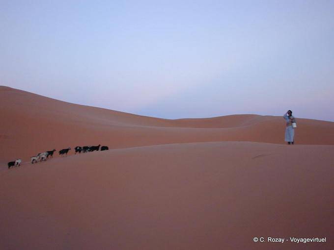 La parte posteriore di una donna o di deserto al tramonto, Merzouga - Marocco