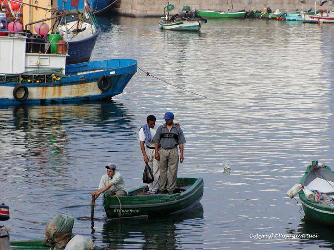 Torna a pescatori nel porto, Al Hoceima - Marocco