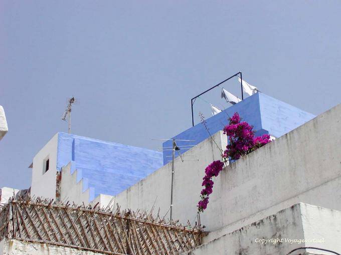 Blu-bianco, terrazza Asilah - Marocco
