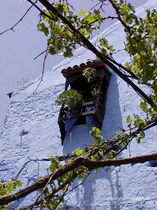 Viti e finestra traliccio, Chefchaouen - Marocco
