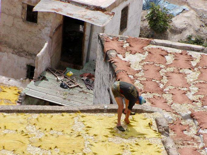 L'essiccazione della pelle al sole sulle terrazze di Chouara, Fes - Marocco