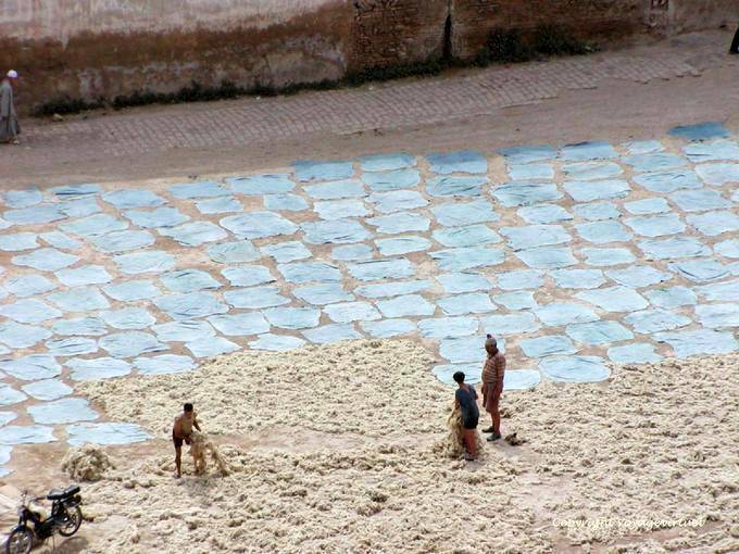 Asciugatura della lana quartiere conciatore di pelle e di pecora, Fes - Marocco