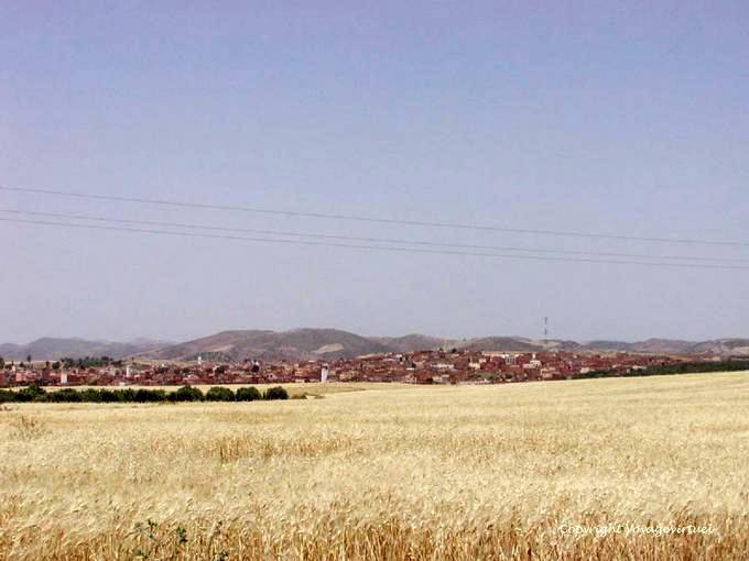 Le pianure dorate e Khénifra la città rossa - Marocco