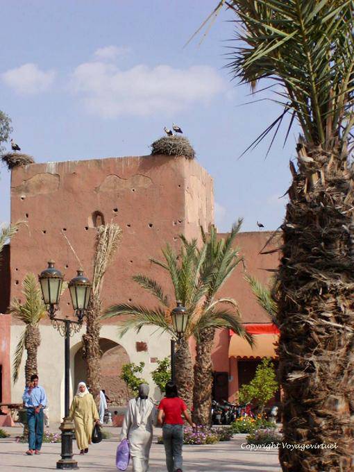 Cicogne sulla porta del luogo Ferblantiers, Marrakech - Marocco