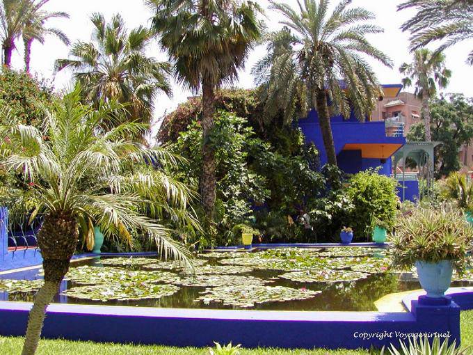 Pond Bacino giglio, Jardin Majorelle, Marrakech - Marocco