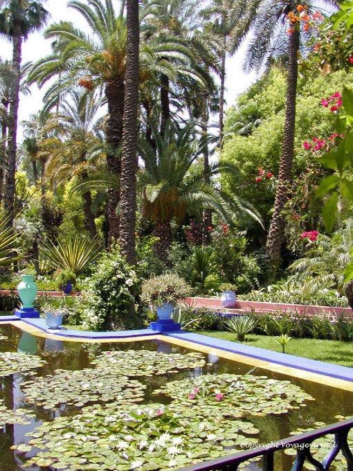 Fiori di loto e lussureggiante, Jardin Majorelle, Marrakech - Marocco