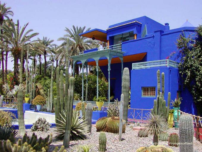 Famiglia cactus al museo berbero, Jardin Majorelle, Marrakech - Marocco