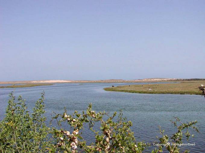 Lumache, laguna e dune nel paesaggio lontananza Oualidia - Marocco