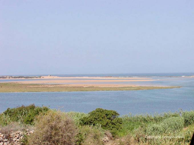 Guarda le sabbie della laguna, Oualidia - Marocco
