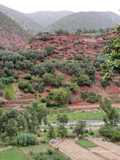 Cultura nella valle e le case sulla collina, Ourika Valley - Marocco