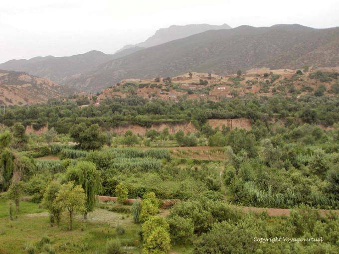 Colture e villaggio Taljerft sopra il wadi, Ourika - Marocco