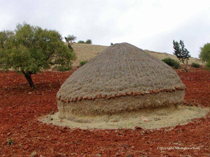 La bella rotella rotonda sulla terra rossa, Parco Nazionale Talassemtane, Rif - Marocco