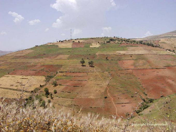 Colture miste del Rif, cereali e cannabis - Marocco
