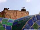 Cicogna nidifica su una parete del bastione, Marrakech, Marocco.