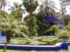Pond Bacino giglio, Jardin Majorelle, Marrakech, Marocco.