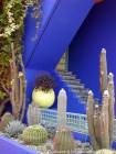 Blue Angel e collezione di cactus, Giardino Majorelle Marrakech, Marocco.
