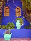 Contrasto di colore, Jardin Majorelle, Marrakech, Marocco.