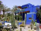 Famiglia cactus al museo berbero, Jardin Majorelle, Marrakech, Marocco.