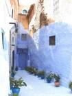 Via piante in vaso, Chefchaouen, Marocco.