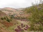 Paesaggio collinare e oleandri, Rif, Marocco.
