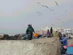 Essaouira, marinai lavorando sulla porta, Marocco.