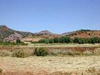 Unire e paesaggio nella regione di Ain Leuh, Marocco.