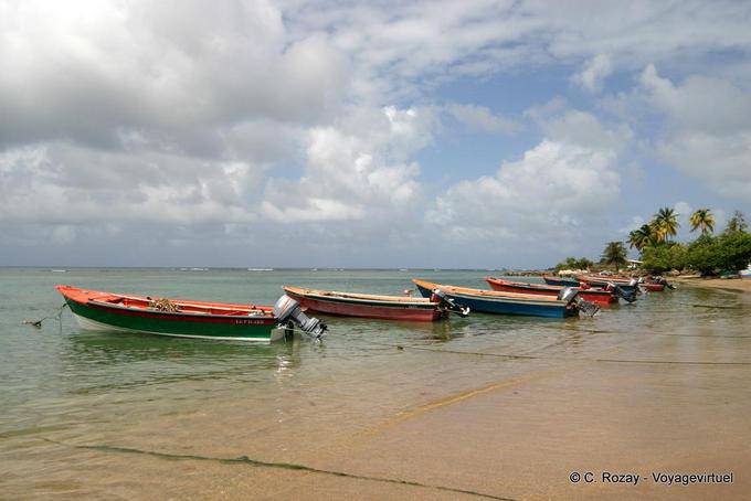 Allineamento di barche da pesca sulla spiaggia, Anse l'Etang, La Caravelle - Martinica