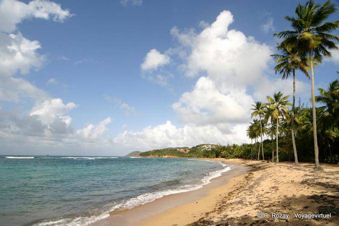 Spiaggia sul Caravelle, Anse l'Etang - Martinica