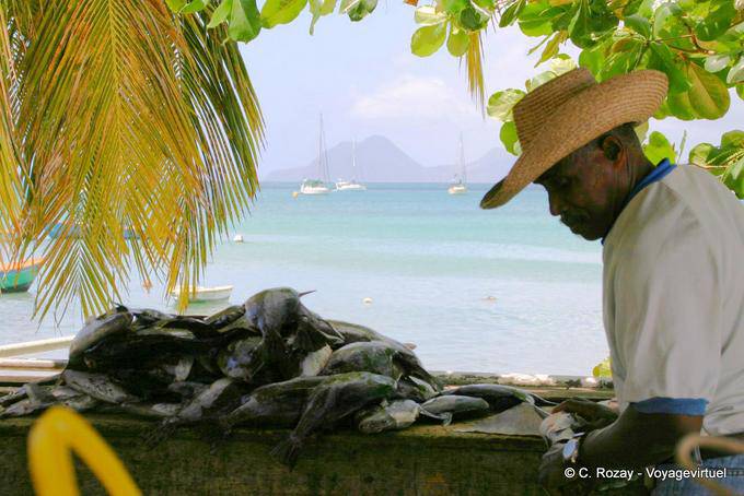 Pescatore di vendita del suo pesce - Martinica