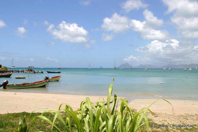 Spiaggia di Anse Caritan, vicino a Sainte Anne - Martinica
