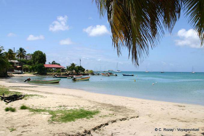 Pezzo di spiaggia intorno Sainte Anne - Martinica