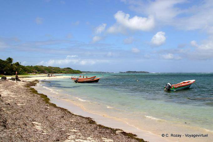 Anse Michel (posizione da confermare) - Martinica