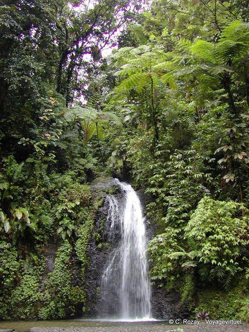 La cascata Saut Gendarme - Martinica