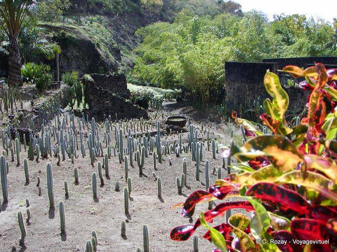Habitation Anse Latouche, rovine delle piantagioni distrutta dall'eruzione del Monte Pelée - Martinica
