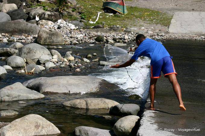 La pesca nel falco in Potiche fiume, Grand'Rivière - Martinica