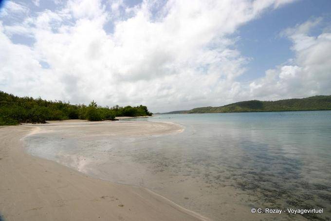 Spiaggia Bay Tesoro e acqua limpida, penisola di La Caravelle - Martinica