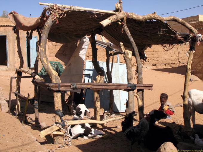 La ragazza vicino alla recinzione, Boutilimit, Mauritania