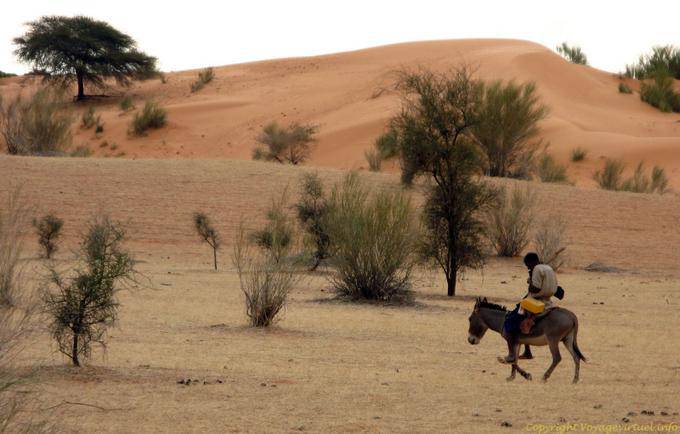 Il pastore sul suo asino, Assaba Regione, Mauritania